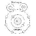 Watermolecule.png