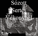 sozottt.gif (5396 bytes)